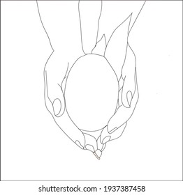 Vector illustration, Hands  holding a fruit on white background.