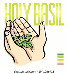 Vector illustration
hands holding green basil in palms. In the background the inscription "Holy Basil", on a white background. Pop art postcard