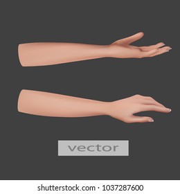 Vector illustration, hands realistic, 3d isolated, shows, feeds or takes.