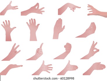 Vector illustration  hands set of the person isolated on white background