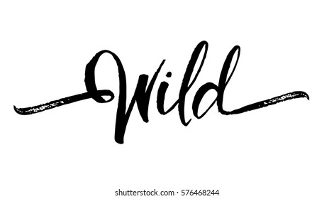 Vector illustration: Handwritten brush lettering of Wild on white background. 
