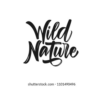 Vector illustration: Handwritten calligraphic brush type lettering composition of Wild Nature on white background.