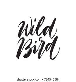 Vector illustration: Handwritten grunge brush lettering of Wild Bird on white background