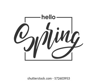 Vector illustration: Handwritten lettering composition of Hello Spring. Hand drawn modern brush calligraphy design.