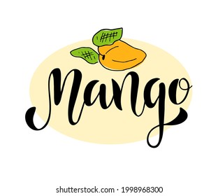 Vector illustration of handwritten lettering of Mango.  Text with mango illustration for label, menu, icon, sketched hand painted exotic, tropical fruit
