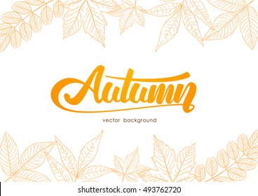 Vector illustration: Handwritten orange lettering of Autumn with hand-drawn leaves on white background. Sketch line design