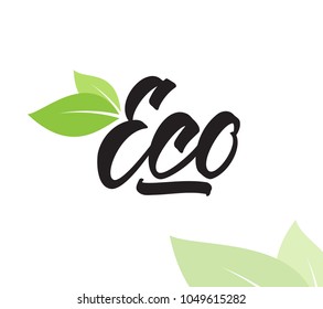 Vector illustration: Handwritten type lettering of Eco with green leaves.