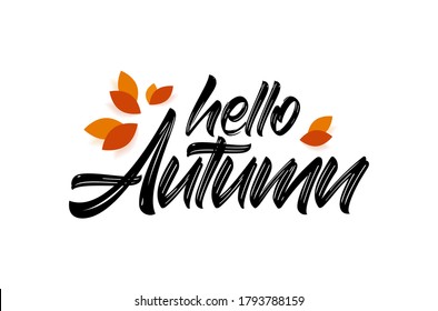 Vector illustration: handwritten type lettering of Hello Autumn with fall leaves. 