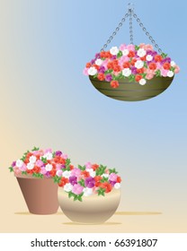 Vector Illustration Of A Hanging Basket And Two Containers Full Of Flowering Busy Lizzie Or Impatiens Plants In Eps10 Format