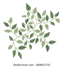 Vector illustration of hanging climbing vines with green leaves of loach sliding down the wall or hedge decor for design