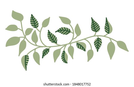 Vector illustration of hanging climbing vines with green leaves of loach sliding down the wall or hedge decor for design