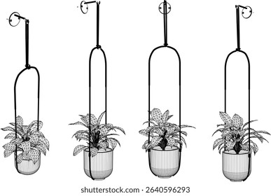 Vector illustration of hanging plant design for home terrace interior decoration with creeping leaves
