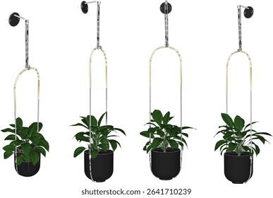 Vector illustration of hanging plant design for home terrace interior decoration with creeping leaves