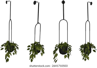 Vector illustration of hanging plant design for home terrace interior decoration with creeping leaves