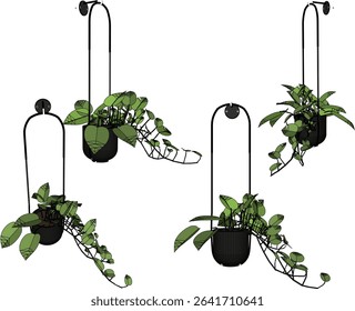Vector illustration of hanging plant design for home terrace interior decoration with creeping leaves