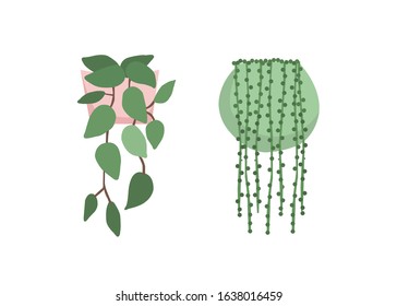 Vector Illustration Of Hanging Plants - Vector Isolated Icons Illustration