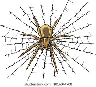 vector illustration hanging spider on web thread