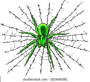 vector illustration hanging spider on web thread