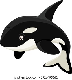 Vector illustration of a happy cartoon orca (killer whale).