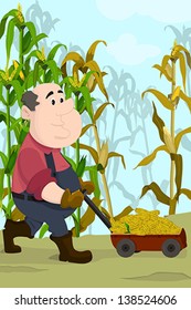 A vector illustration of happy farmer harvesting corns in a field