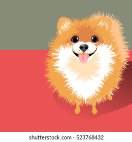 vector illustration of a happy funny fluffy Pomeranian dog. Space for text. For posters, cards, banners, t-shirts