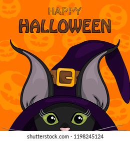Vector Illustration of Happy Halloween. Black Cat in Whitch's Hat on Pumpkin's Background. Template for Postcards, Banners, Posters and etc