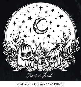 Vector illustration, Happy Halloween, pumpkin,starry sky, moon, mysticism. Handmade, prints on T-shirts, background chalkboard