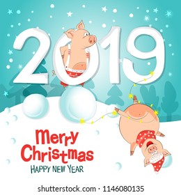 Vector illustration of happy new year! Pigs-a symbol of the Chinese new 2019. For posters, banners, postcards, sales and other winter events. Style of comics, cartoons. Christmas card