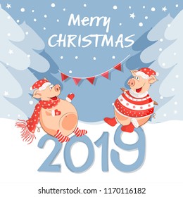 Vector illustration of happy new year! Pigs-a symbol of the Chinese new 2019. For posters, banners, postcards, sales and other winter events. Style of comics, cartoons. Christmas card