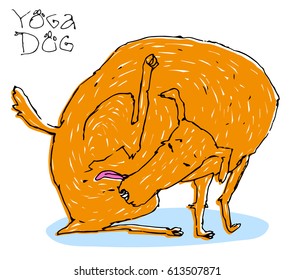 Vector illustration with happy orange dog cleaning its self. Setter washing himself.