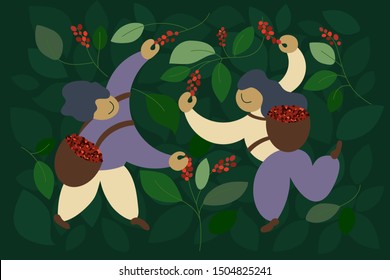 Vector illustration of happy pickers are harvesting ripe red berries of coffee from branches of trees. Laborers picking coffee in basket by hand. Design pattern for banner, poster, print, package, web