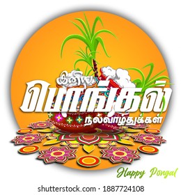 vector illustration of Happy Pongal festival of Tamil Nadu India. Banner, Poster | Pongal wish in Tamil language | 2022