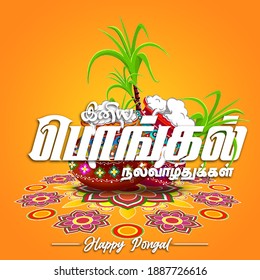 vector illustration of Happy Pongal festival of Tamil Nadu India. Banner, Poster | Pongal wish in Tamil language | Happy Pongal wish 2023