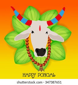 Vector illustration of Happy Pongal greeting card.