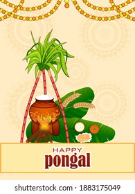 vector illustration of Happy Pongal holiday religious festival celebration background