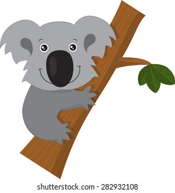 Vector illustration of happy smiling cute cartoon koala climbing on branch. Funny zoo australian animal symbol character isolated on white background