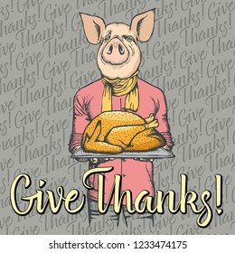 Vector illustration of Happy Thanksgiving Day pig concept. Pig with holiday turkey and lettering Give Thanks