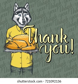 Vector illustration of Happy Thanksgiving Day husky dog concept. Husky dog with holiday turkey and lettering Thank You!