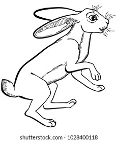Vector illustration of hare black and white