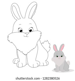 
vector illustration hare coloring book