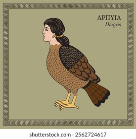 Vector illustration of a harpy, Greek mythological creature