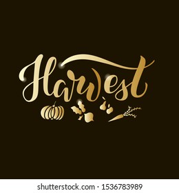 Vector illustration of harvest brush lettering for banner, leaflet, poster, logo, advertisement design. Handwritten text for template, signage, billboard, print, flyer, invitation, home decor