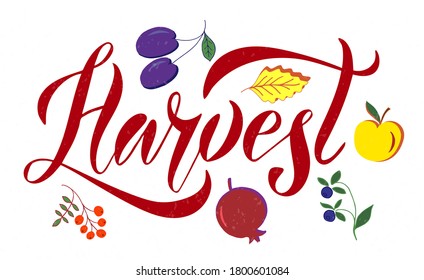 Vector illustration of Harvest text for logotype, t-shirt, banner, magazine, poster, decoration, postcard. Harvest calligraphy background. Harvest lettering. EPS 10. 