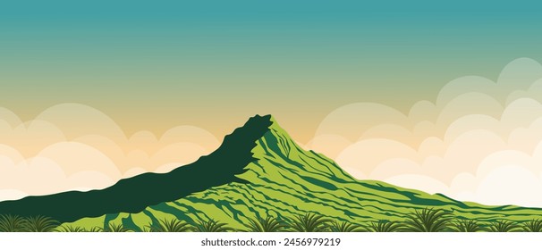 Vector illustration. Hawaii, background, horizontal banner, landing page, background for website. Tourism, travel. Nature, volcano, jungle.