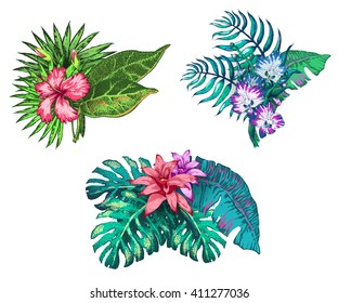 Vector Illustration of Hawaii Flowers Sketch Style for Design, Website, Seamless Pattern. Tropical Doodle Element Template in color. Beach Botany