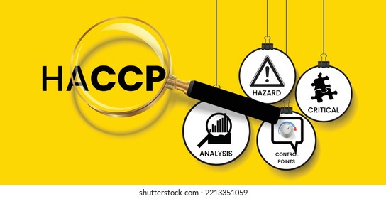 Vector Illustration Hazard Analysis Critical Control Stock Vector ...