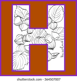 Vector illustration of hazelnut inside of letter H. Limited colors graphic. Hand drawing.