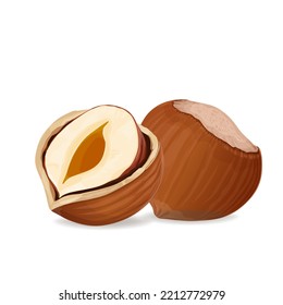 Vector illustration of a hazelnut peeled whole, chopped into halves. . Vector icon on the white background.