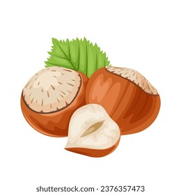 vector illustration, hazelnuts with shell and green leaves, isolated on white background.