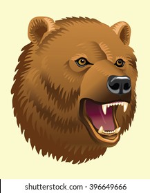 Vector illustration of head of bear